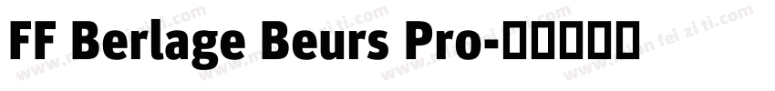 FF Berlage Beurs Pro字体转换